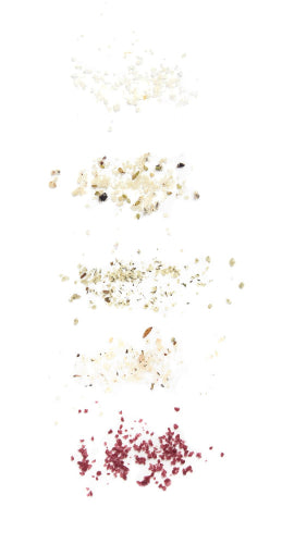 Spices and herbs scattered on a white background
